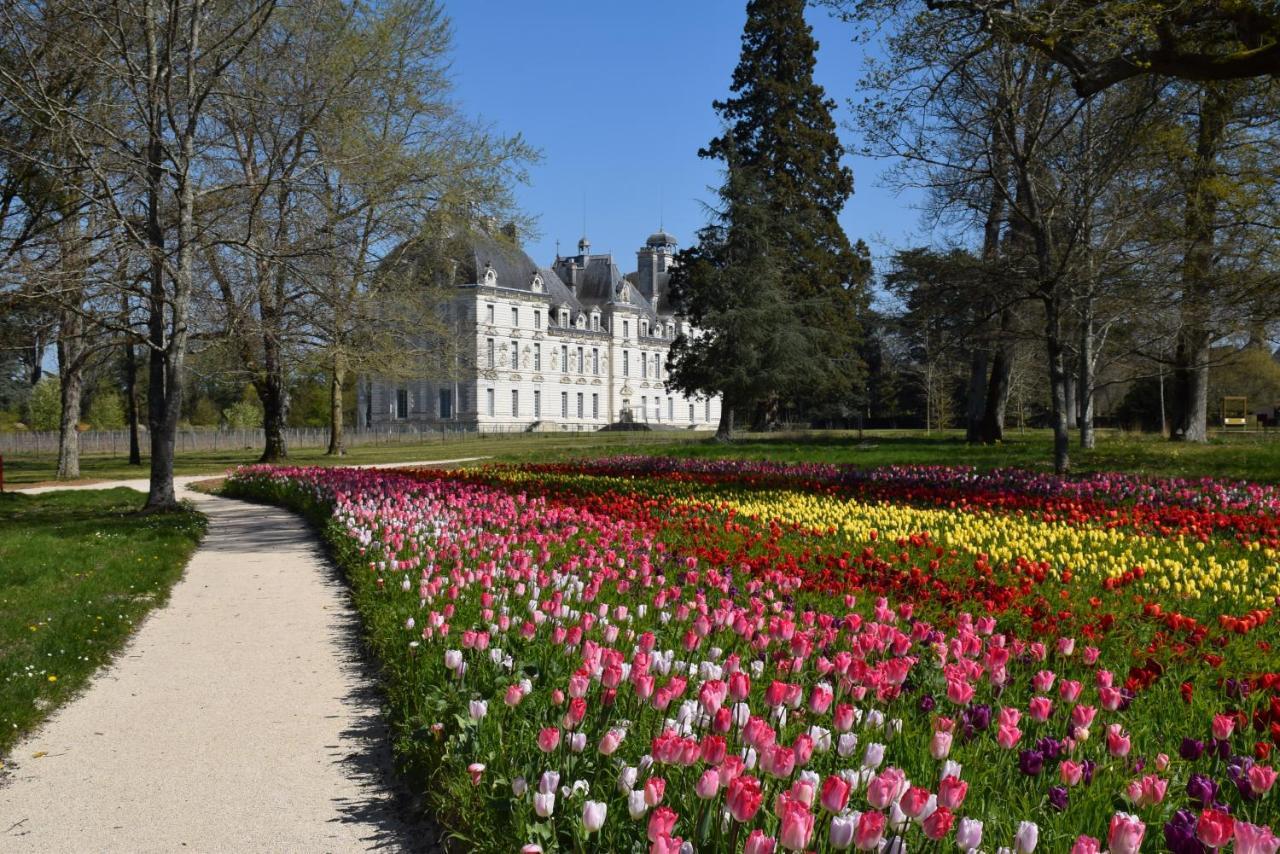 Logis Hotel Du Cygne Bracieux Eksteriør billede